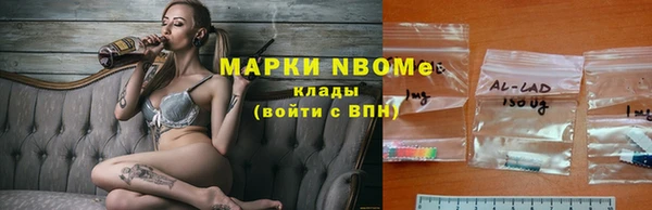 гидра Алзамай