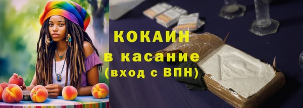 гидра Алзамай