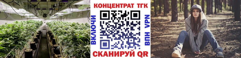 ТГК THC oil  hydra ссылки  Королёв  закладка 