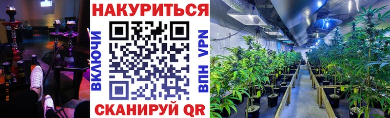 сайты даркнета клад  Королёв  МАРИХУАНА гибрид 